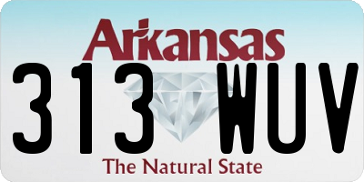 AR license plate 313WUV