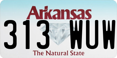 AR license plate 313WUW
