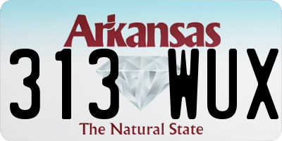 AR license plate 313WUX