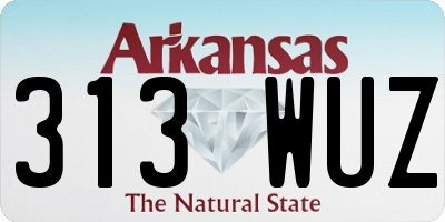 AR license plate 313WUZ