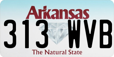 AR license plate 313WVB