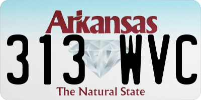 AR license plate 313WVC