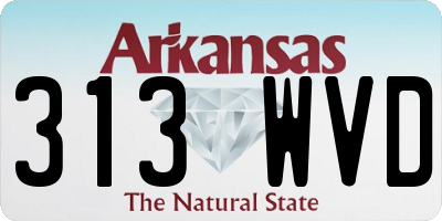 AR license plate 313WVD