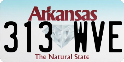 AR license plate 313WVE