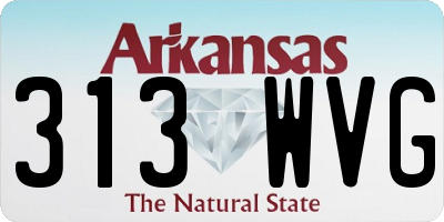 AR license plate 313WVG