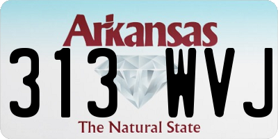 AR license plate 313WVJ