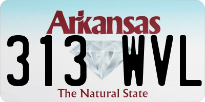 AR license plate 313WVL