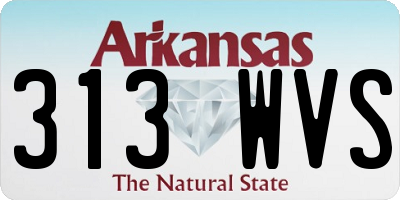 AR license plate 313WVS