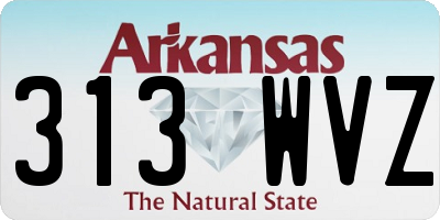AR license plate 313WVZ