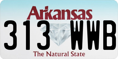 AR license plate 313WWB