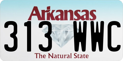 AR license plate 313WWC