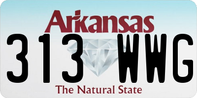 AR license plate 313WWG