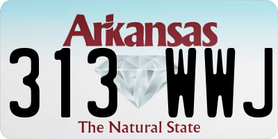 AR license plate 313WWJ