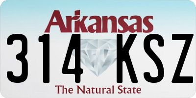 AR license plate 314KSZ