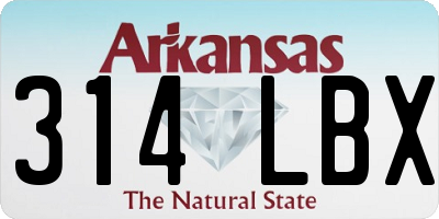 AR license plate 314LBX