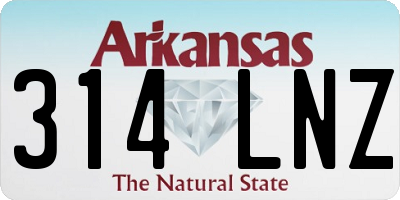 AR license plate 314LNZ