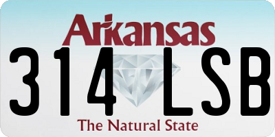 AR license plate 314LSB