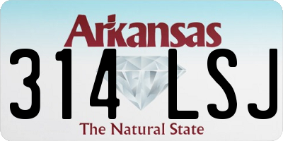 AR license plate 314LSJ