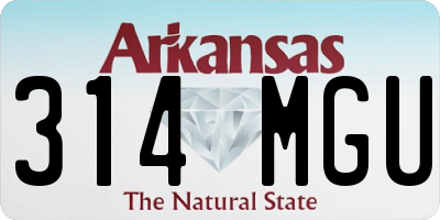 AR license plate 314MGU