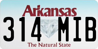 AR license plate 314MIB