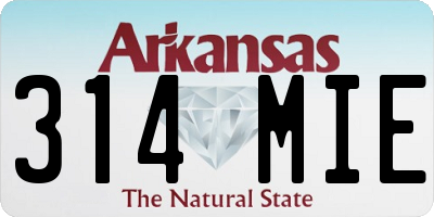 AR license plate 314MIE