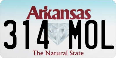 AR license plate 314MOL