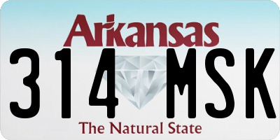 AR license plate 314MSK