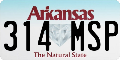 AR license plate 314MSP