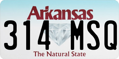 AR license plate 314MSQ