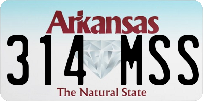 AR license plate 314MSS