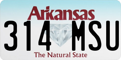 AR license plate 314MSU