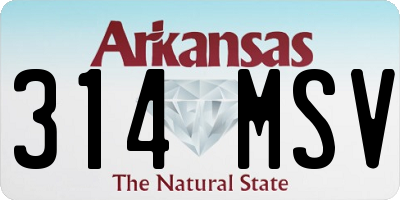 AR license plate 314MSV