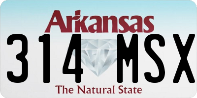 AR license plate 314MSX