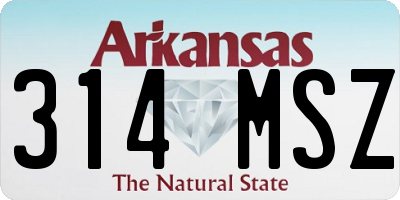 AR license plate 314MSZ