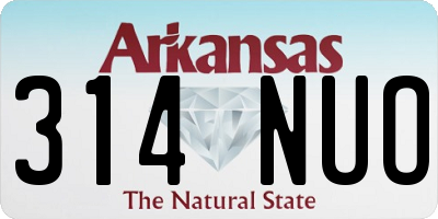AR license plate 314NUO