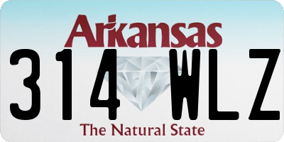 AR license plate 314WLZ