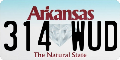 AR license plate 314WUD