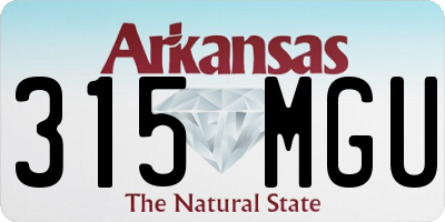 AR license plate 315MGU