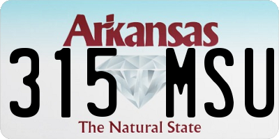 AR license plate 315MSU