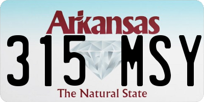 AR license plate 315MSY