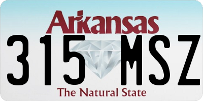 AR license plate 315MSZ