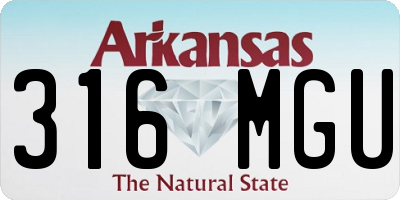 AR license plate 316MGU