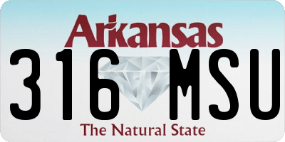 AR license plate 316MSU