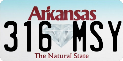 AR license plate 316MSY