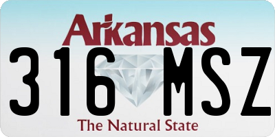 AR license plate 316MSZ