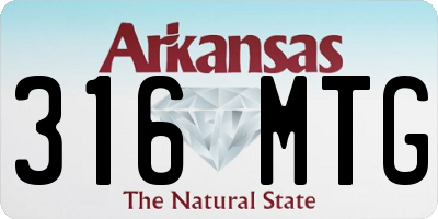 AR license plate 316MTG