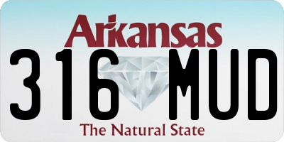 AR license plate 316MUD