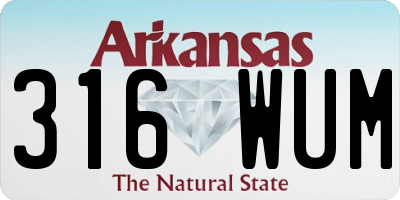 AR license plate 316WUM