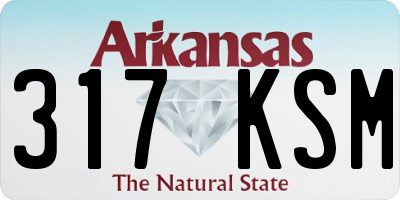 AR license plate 317KSM