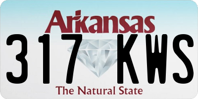 AR license plate 317KWS